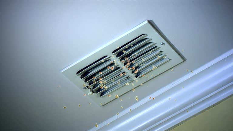 Best Commercial Air Duct Cleaning  in New Lisbon, WI