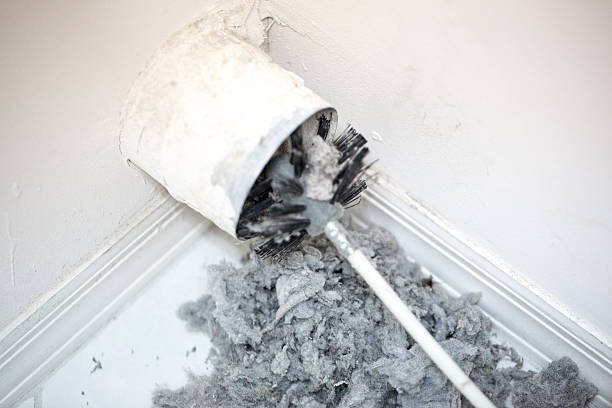 Best Affordable Duct Cleaning Services  in New Lisbon, WI