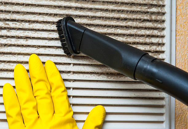 Air Duct Mold Removal in New Lisbon, WI